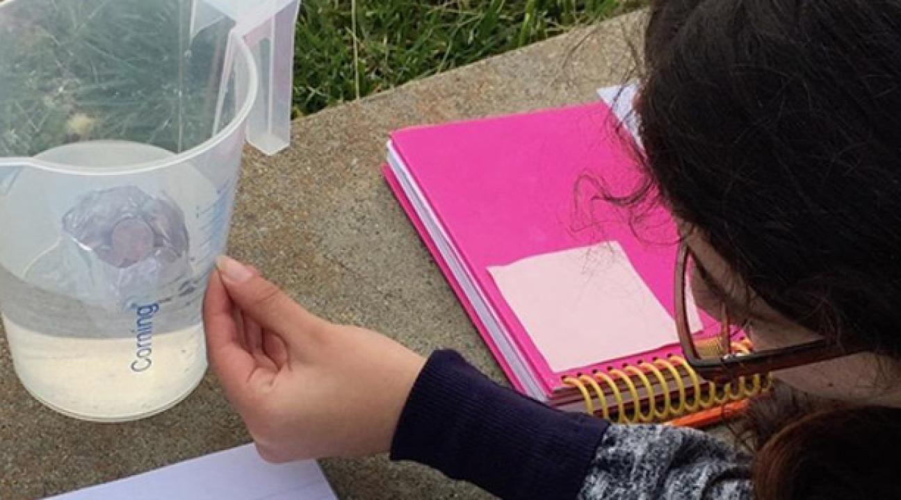 Student with half filled pitcher of water.
