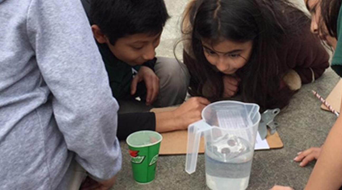 Students looking in a pitcher of water.