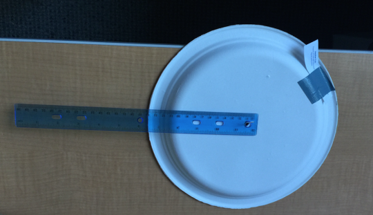 Paper plate with a ruler.